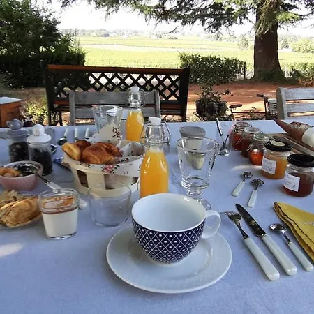 A L'ombre De La Treille -proche Saint-emilion Bed & Breakfast *