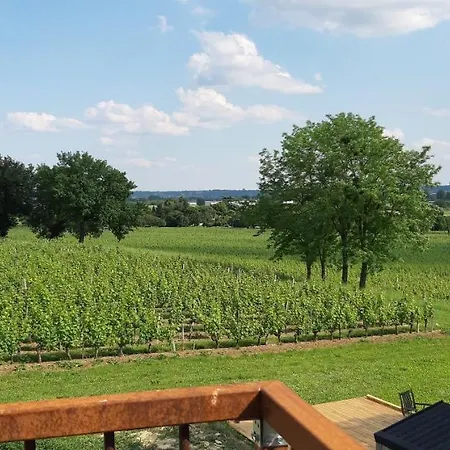 Frühstückspension A L'ombre De La Treille -proche Saint-emilion Saint-Magne-de-Castillon