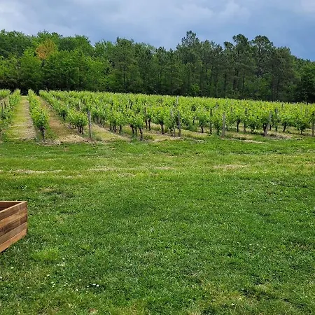 Bed and Breakfast A L'ombre De La Treille -proche Saint-emilion Saint-Magne-de-Castillon