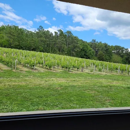 A L'ombre De La Treille -proche Saint-emilion 3* Saint-Magne-de-Castillon