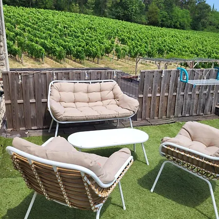 A L'ombre De La Treille -proche Saint-emilion 住宿加早餐酒店 3*