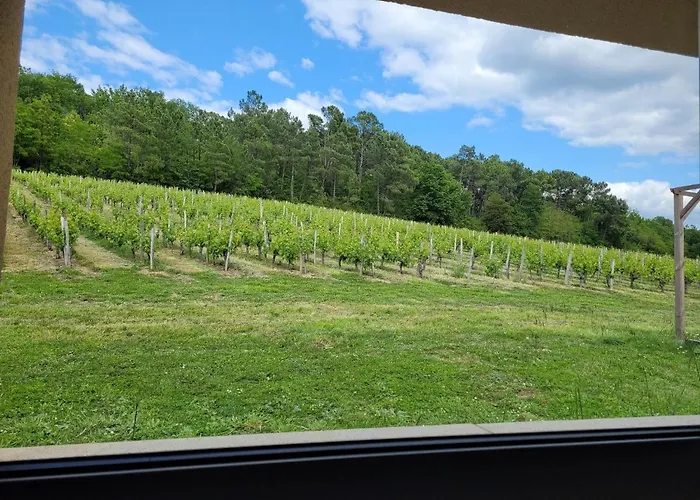 A L'ombre De La Treille -proche Saint-emilion 3* Saint-Magne-de-Castillon